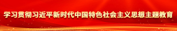 小妈逼流水，艹死了学习贯彻习近平新时代中国特色社会主义思想主题教育